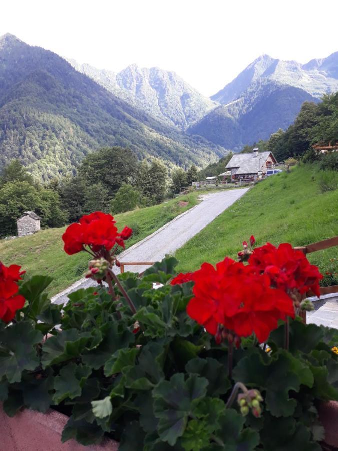 Casa All'Alpe Gaggetto B & B Anzino Buitenkant foto