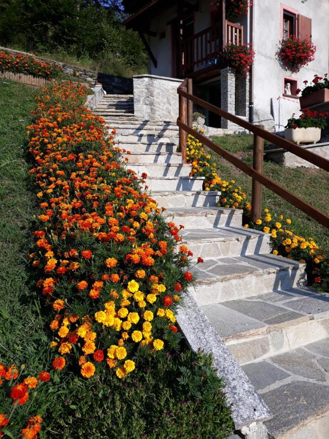 Casa All'Alpe Gaggetto B & B Anzino Buitenkant foto