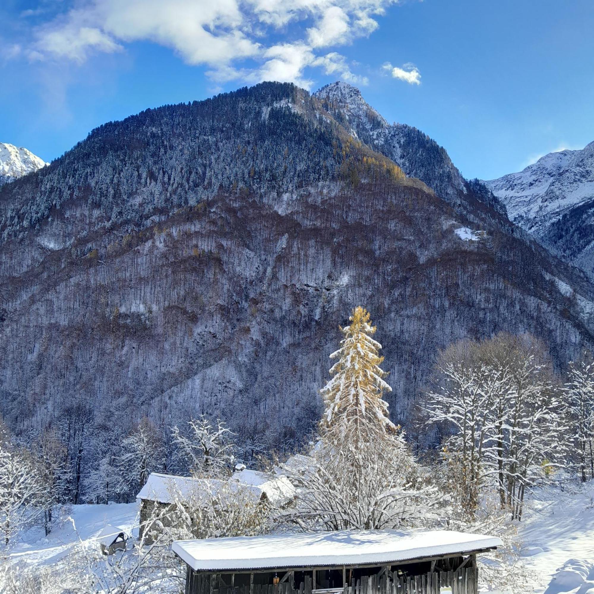 Casa All'Alpe Gaggetto B & B Anzino Buitenkant foto