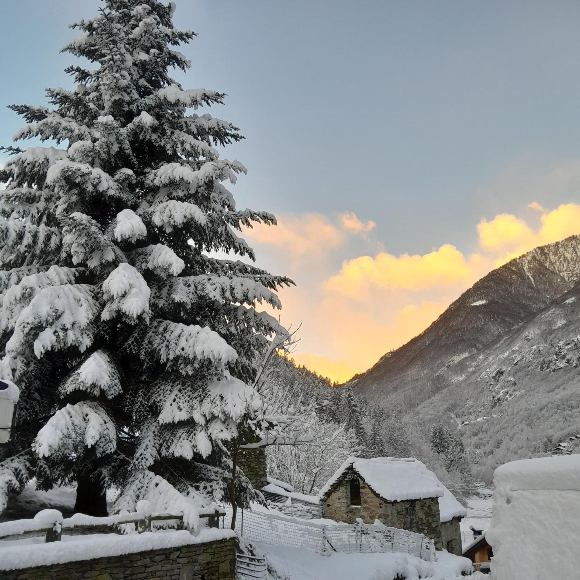 Casa All'Alpe Gaggetto B & B Anzino Buitenkant foto